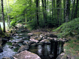 L'Alzeau continue après lle captage, il reste encore de l'eau...