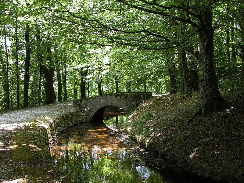 Un petit pont sur la Rigole, dans la fraîcheur des frondaisons de l'été