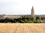 L'église d'Avignonet-Lauragais, vue du côté Sud à travers les chaumes, en plein été. Soleil très fort et ciel sans nuages.