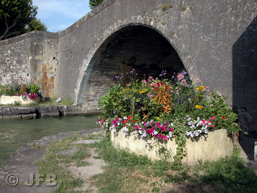 Un petit pont qui sépare le port de Castelnaudary du Grand Bassin - Quelques fleurs l'agrémentent.