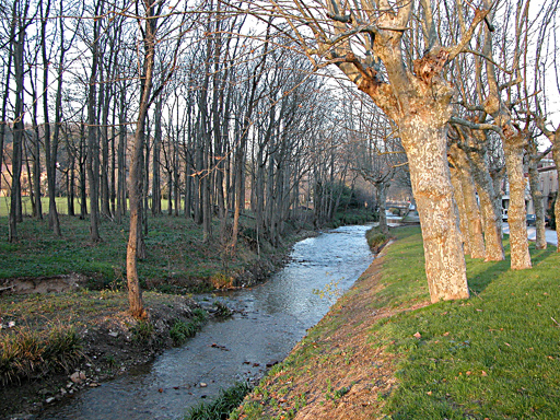 Le ruisseau Laudot, et quelques platanes qui le bordent au village de Vaudreuille