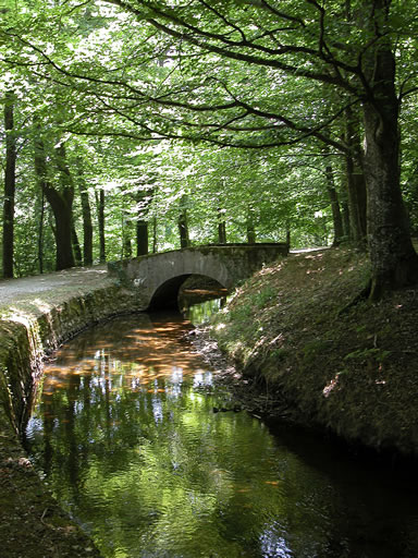 Petit pont sur la Rigole de la Montagne dans laquelle se reflète la verdure des arbres